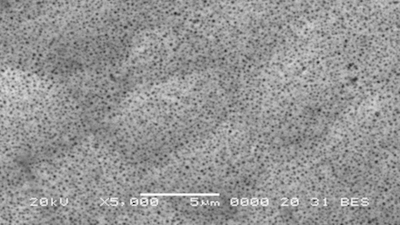 Fotografia al microscopio elettronico del rivestimento di nichel chimico PTFE Niplate 500 PTFE