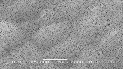 Elektronenmikroskopische Aufnahme der Beschichtung mit chemischem Nickel Niplate 500 PTFE