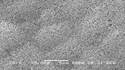 Fotografija z elektronskim mikroskopom premaza kemičnega niklja PTFE Niplate 500 PTFE