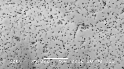 Surface view of a Nickel PTFE composite coating with 7% PTFE